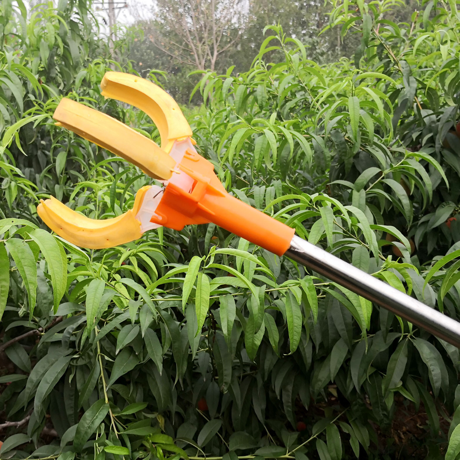 7米长塑料把手摘果器 三爪采果器摘果杆高空水果采摘器摘苹果器