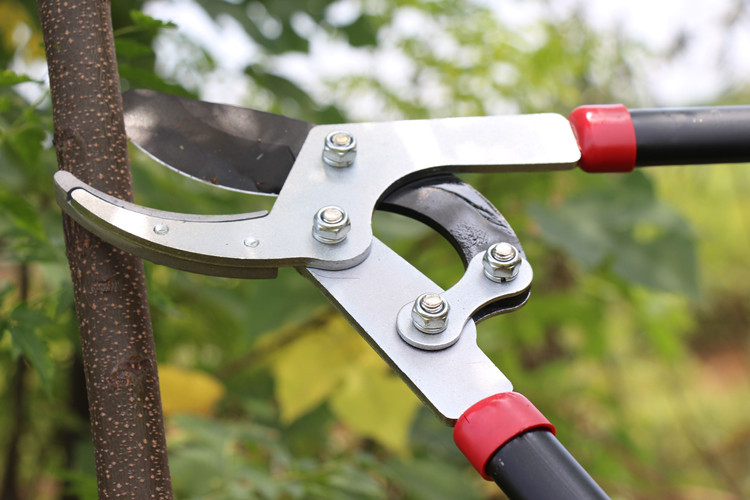 伸缩大力剪粗枝剪果树修枝剪刀高枝树枝剪绿化花园艺剪园林工具