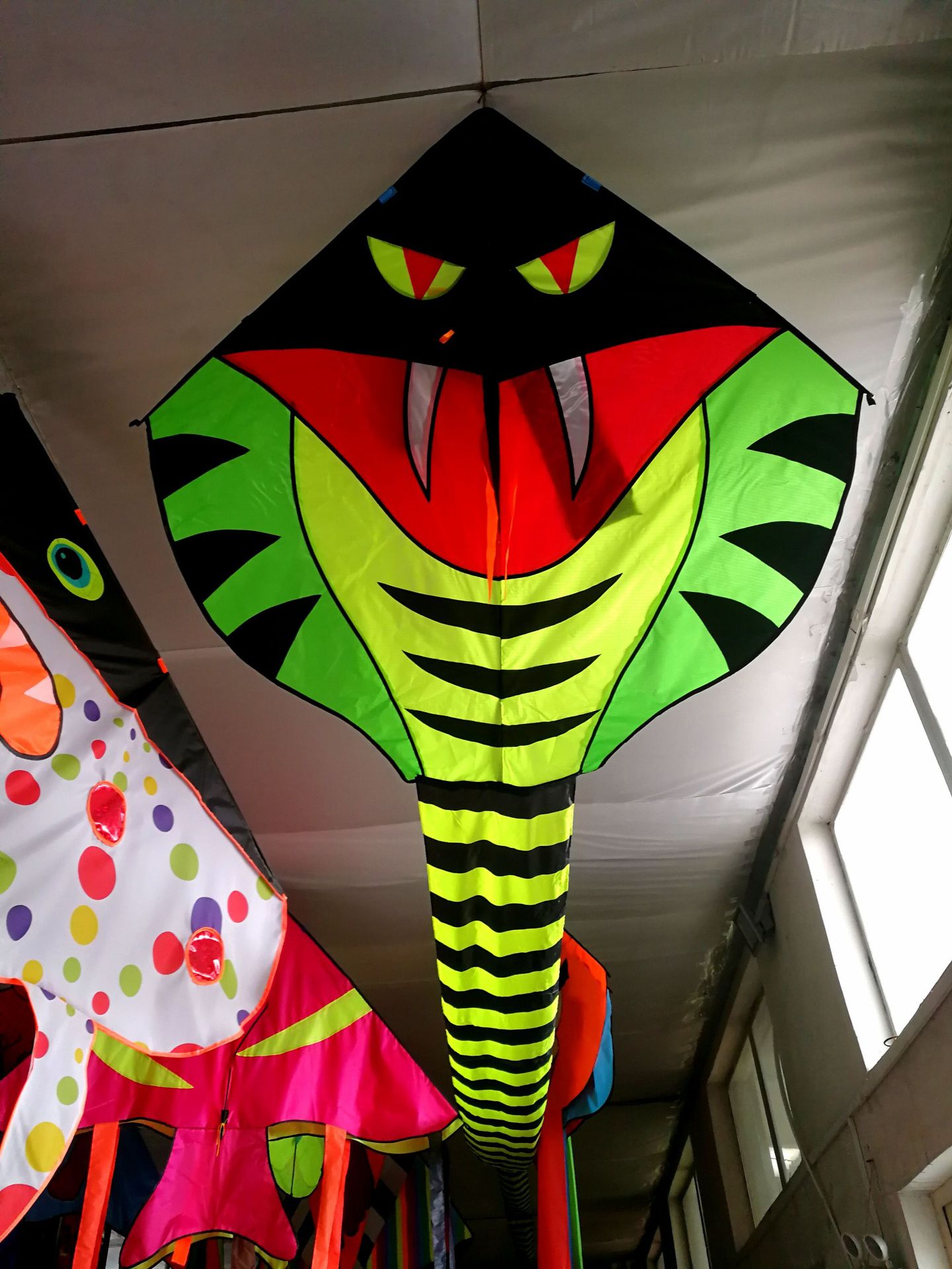 潍坊风筝批发定制30米大青蛇风筝好飞保飞底价批发厂家促销