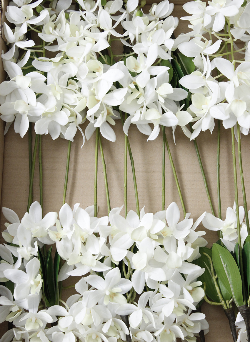 10头带叶千代兰货号:lh0153a商品描述是否跨境出口专供货源否颜色白色