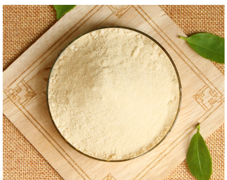 长期供应茶皂素98茶籽提取物斯诺特厂家