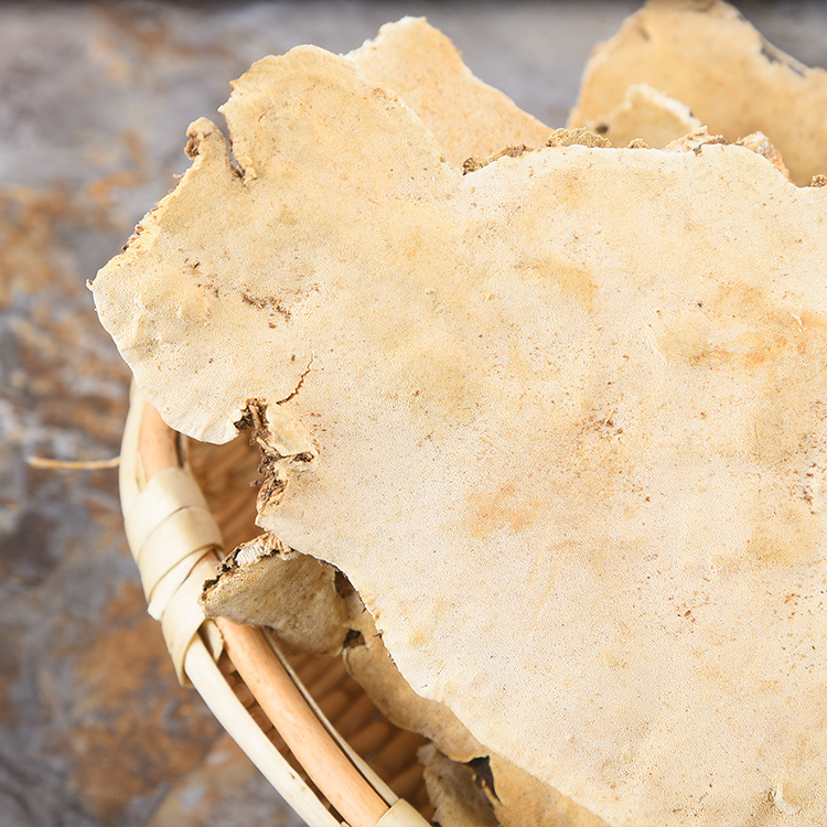 长白山白耙齿菌东北耙齿菌白耙齿菌自家深山采摘