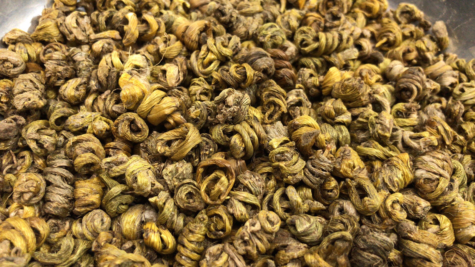 云南水草石斛 水工采摘石斛量大可议价 传统滋补品中药材现货批发