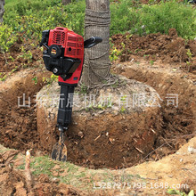 苗盘起树机 汽油挖树机 园林移栽种植机 树苗移栽机