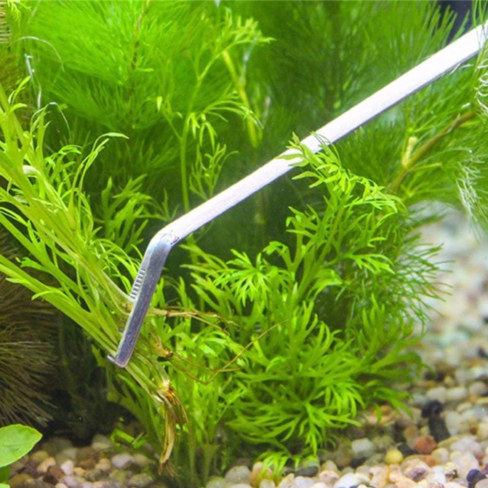 丁香锻造水族厂家水草水草弯头直销不锈钢水草夹工具夹定制镊子工笔画法图片