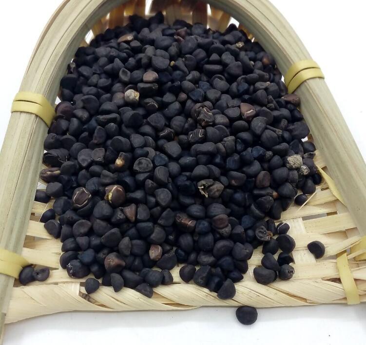 中药材批发黑丑 天然黑丑野生新货黑丑 无硫正品黑丑一公斤包邮