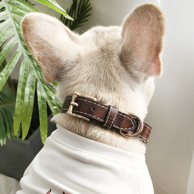 狗狗项圈泰迪小型中型犬脖圈金毛脖套狗圈宠物颈圈式柯基法斗用品