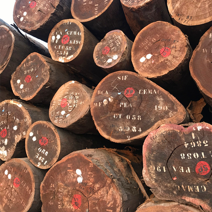 大量核桃木原木 黑胡桃板材 人面子家具地板工艺品旋切刨切木材