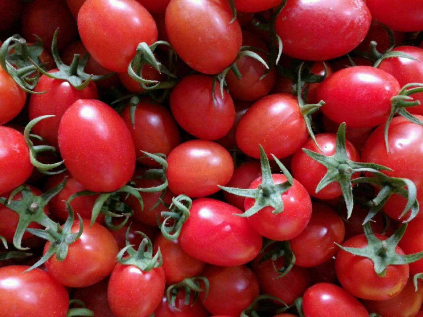 瓜果类-农家圣女果 红色番茄新鲜水果 小番茄小西红柿批发-瓜果类尽在