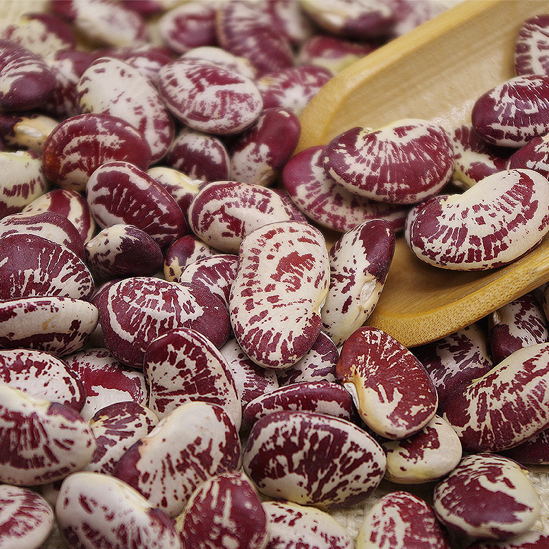 云南荷包豆 大花豆 状元豆粉糯500g-阿里巴巴