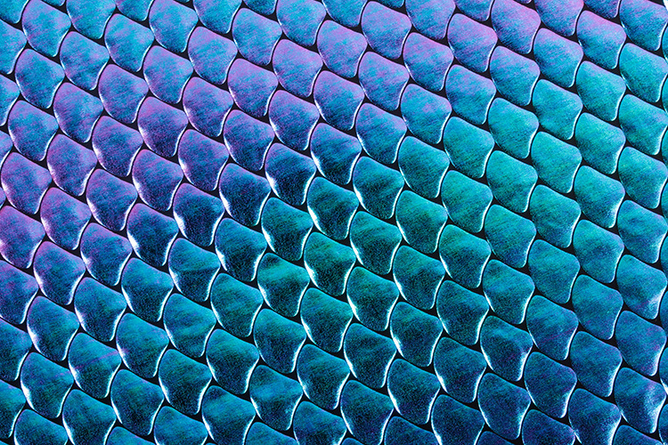 涤氨高档镭射幻彩鱼鳞烫金面料 可变色反光鱼鳞面料 手提包面料