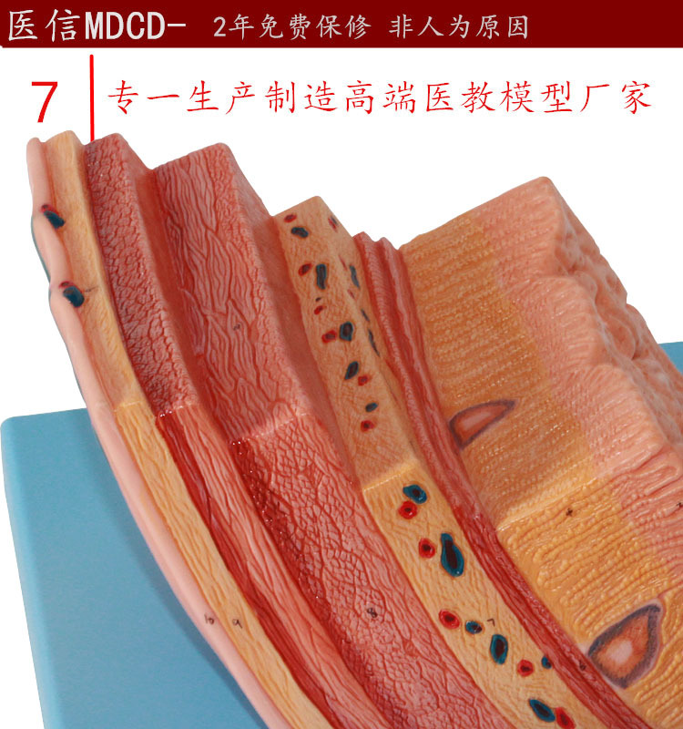 以上均为实拍图,我们保障并承诺亲们所收宝贝与实物一致!