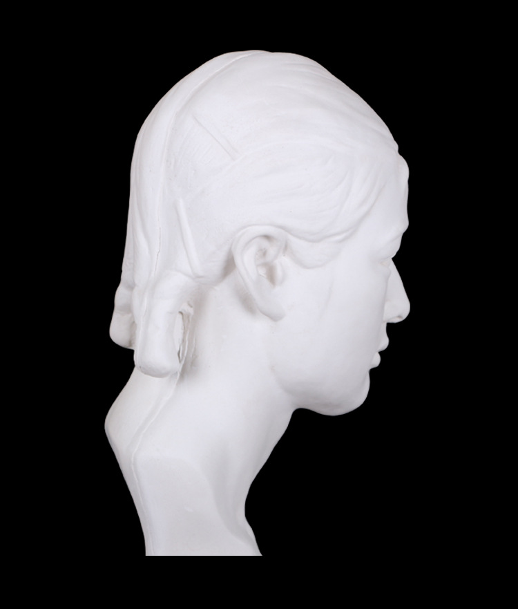 勃兰特女青年石膏像石膏头像石膏教具美术用品教育用品石膏雕塑