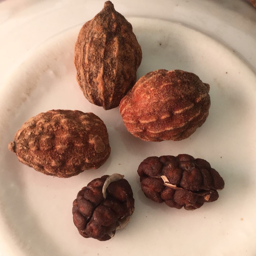 中药材益智仁小砂仁去皮砂仁 天然调料香料 批发哦