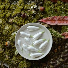 创意茶宠白玉兰花茶席摆件装饰笔搁 茶玩精品手捏陶瓷花礼品茶搁