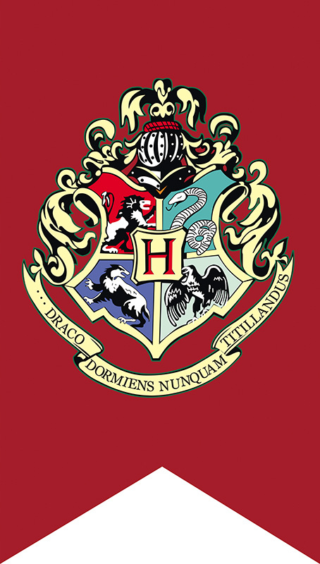 旗帜定做 哈利波特装饰旗酒吧客厅ktv主题装饰彩色三角旗 挂旗