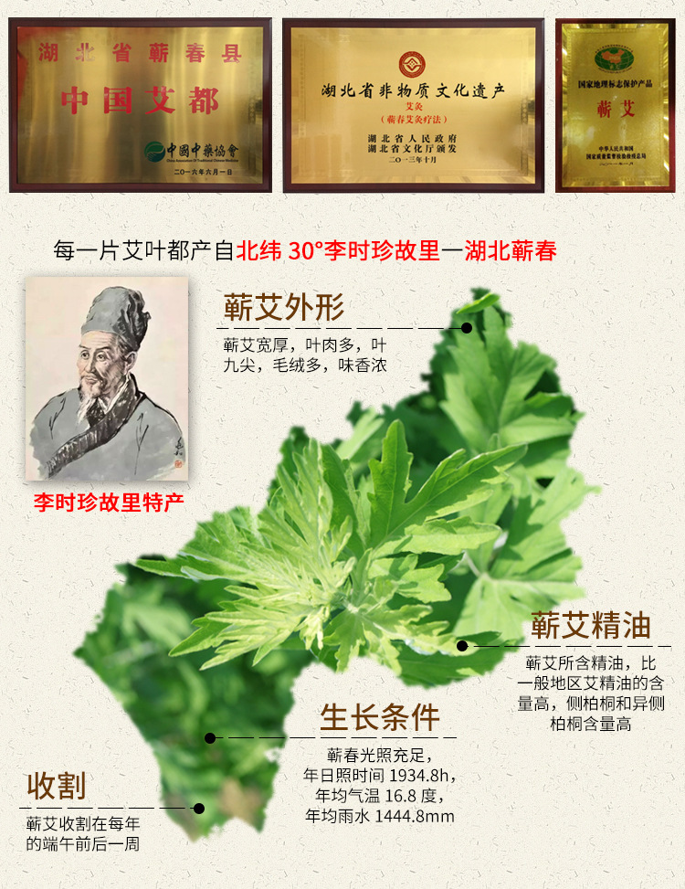 蕲艾桑皮纸石臼艾灸条三年陈蕲春艾条粗7厘米手工艾条oem定制批发