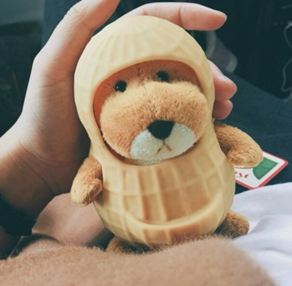 人气网红花生鼠公仔 呆萌可爱花生鼠宝宝软壳拍照公仔-阿里巴巴