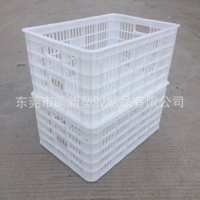 白色大号塑料菜箩蔬菜水果周转筐橘子橙子杨梅塑胶框食品周转箱
