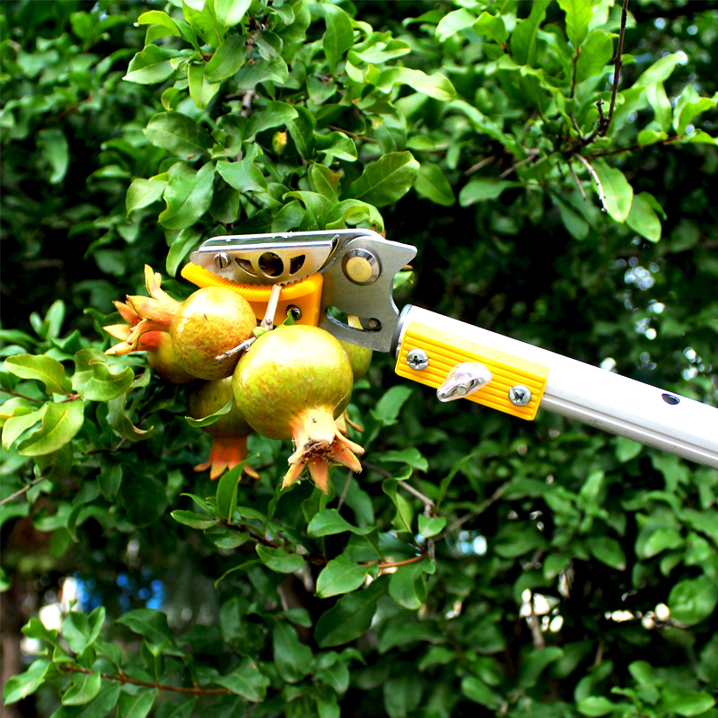 厂家直销3米4米伸缩高空摘果剪 采果剪高枝锯 荔枝龙眼采摘器