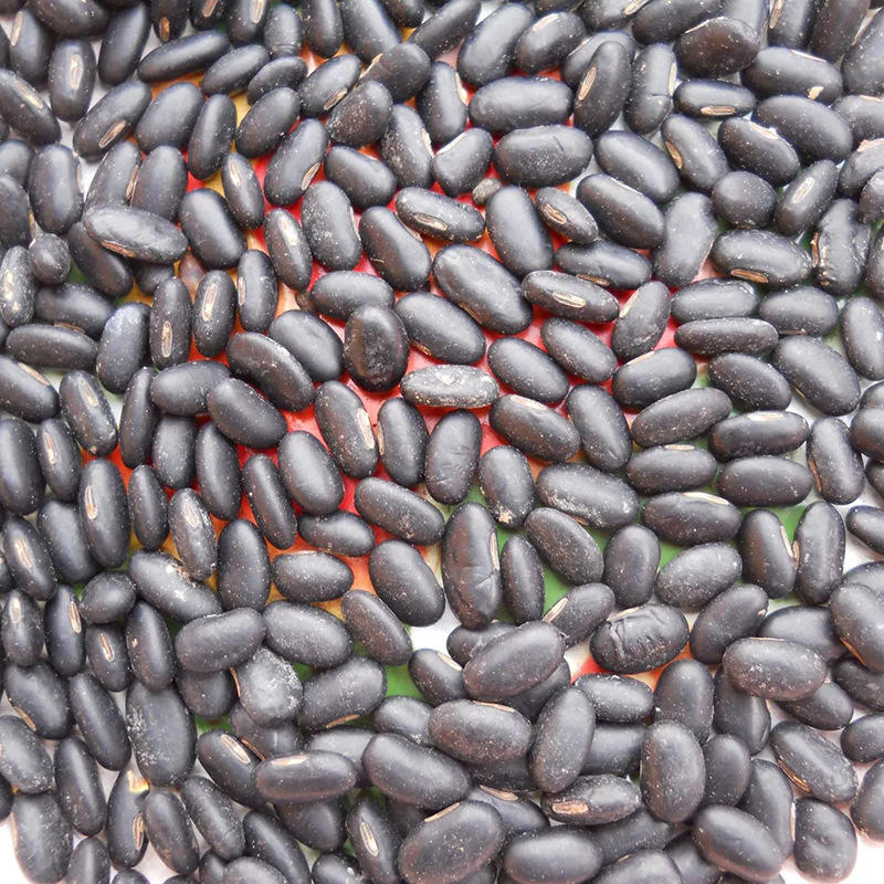 产地 100斤/袋扁黑豆 长粒扁黑豆 新粮大量上市不包邮