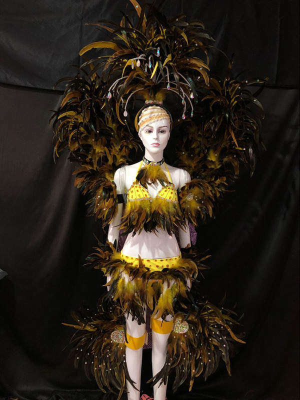 羽毛狂欢节表演 舞队套装桑巴舞服装 羽毛背板 羽毛头饰 开场表演