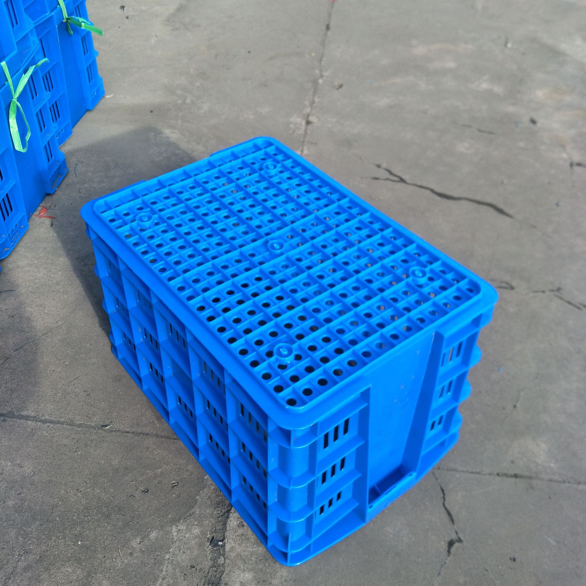 特加厚长方形塑料周转筐熟料全新框储物圆眼筐543宽362高313mm