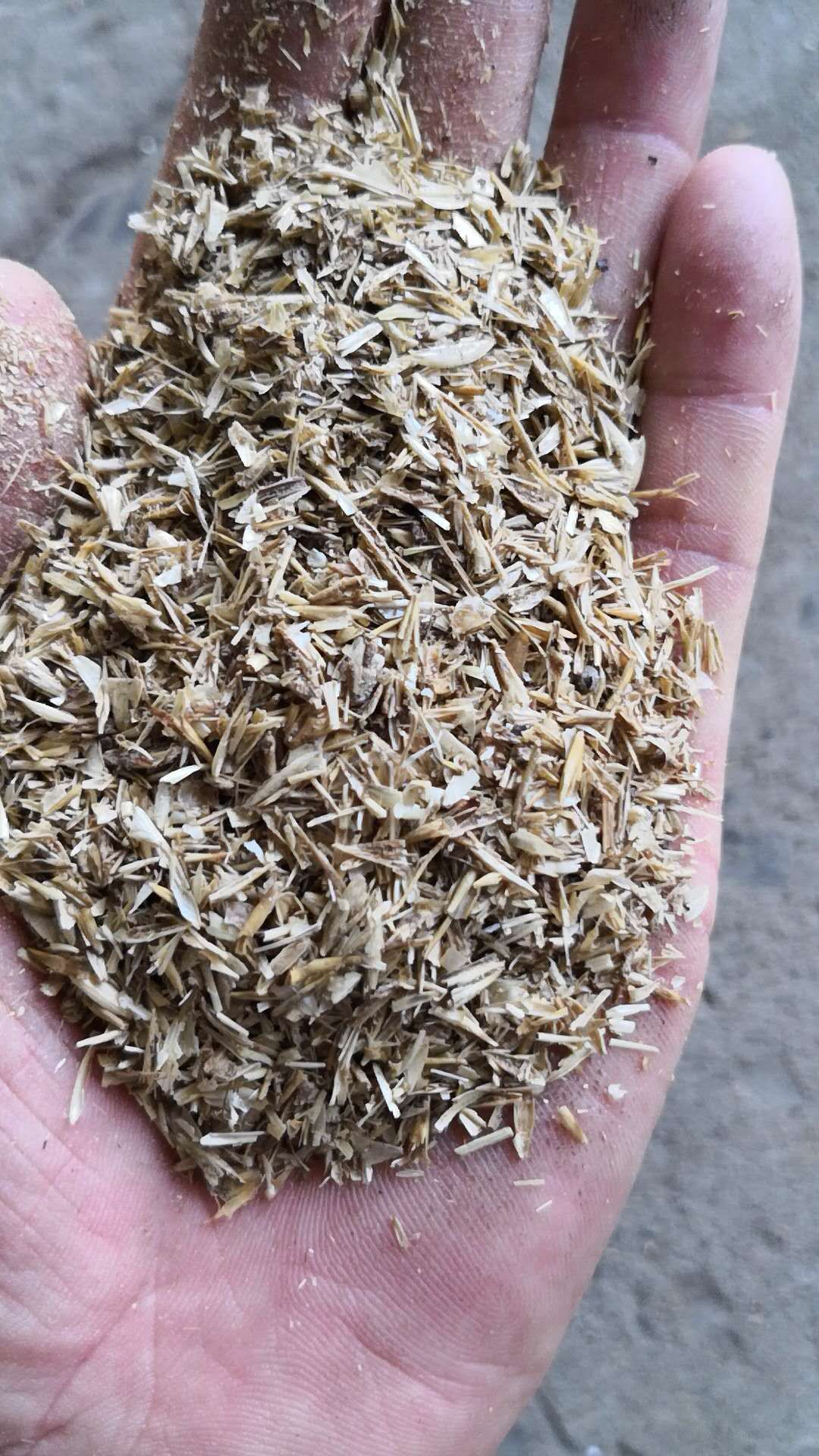 酒糟粉 干酒糟粉 烘干啤酒糟 山东酒糟 山东啤酒糟厂家直供