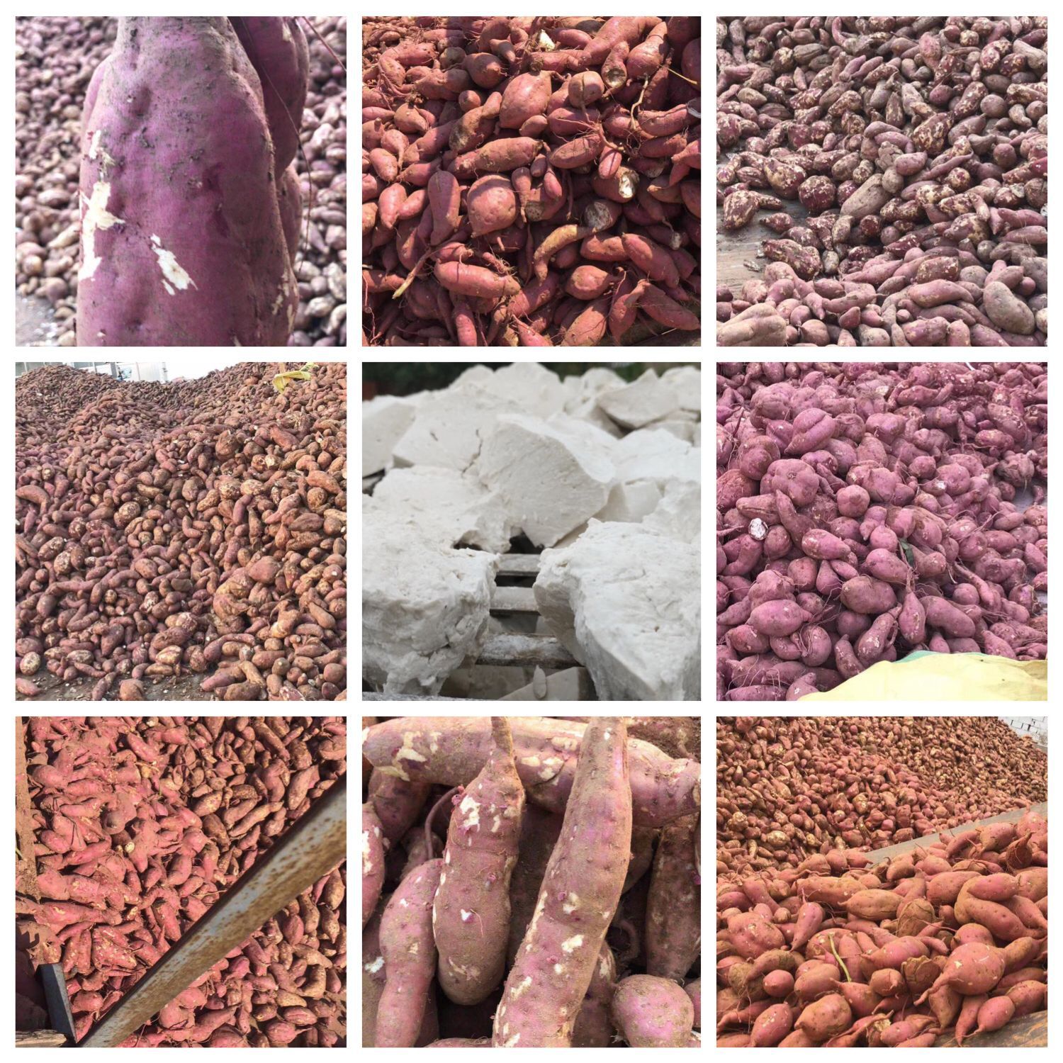 厂家直销 纯红薯淀粉 红薯粉  高粘度颗粒淀粉 支持定制 粉