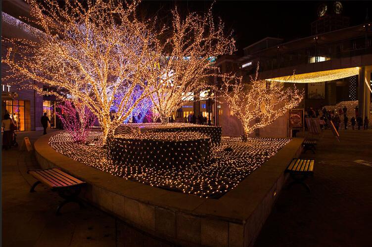 led网灯 工程亮化园林装饰渔网灯户外防水灯光节七彩led彩灯 灯串