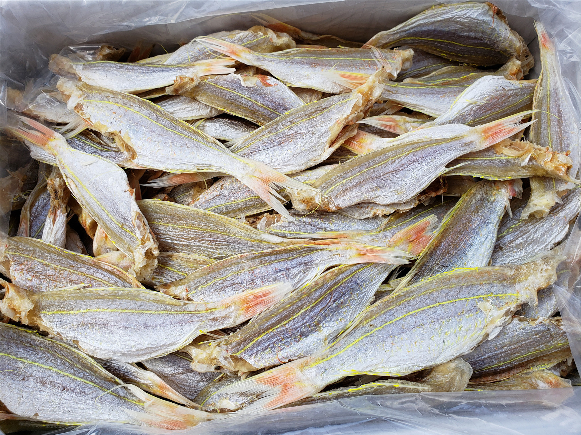 阿里巴巴批发 淡晒咸鱼干 金丝红三鱼 红衫鱼 深海鱼海鲜干货