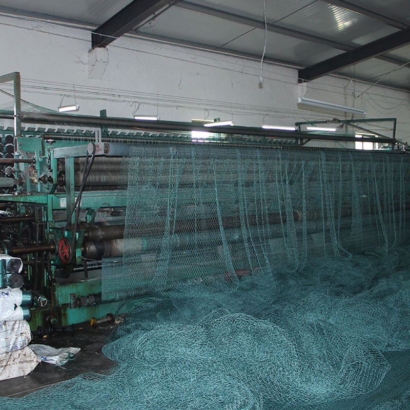 pe材质四综单层网 自产自销品种齐全 塑料防鸟网厂家批发直销