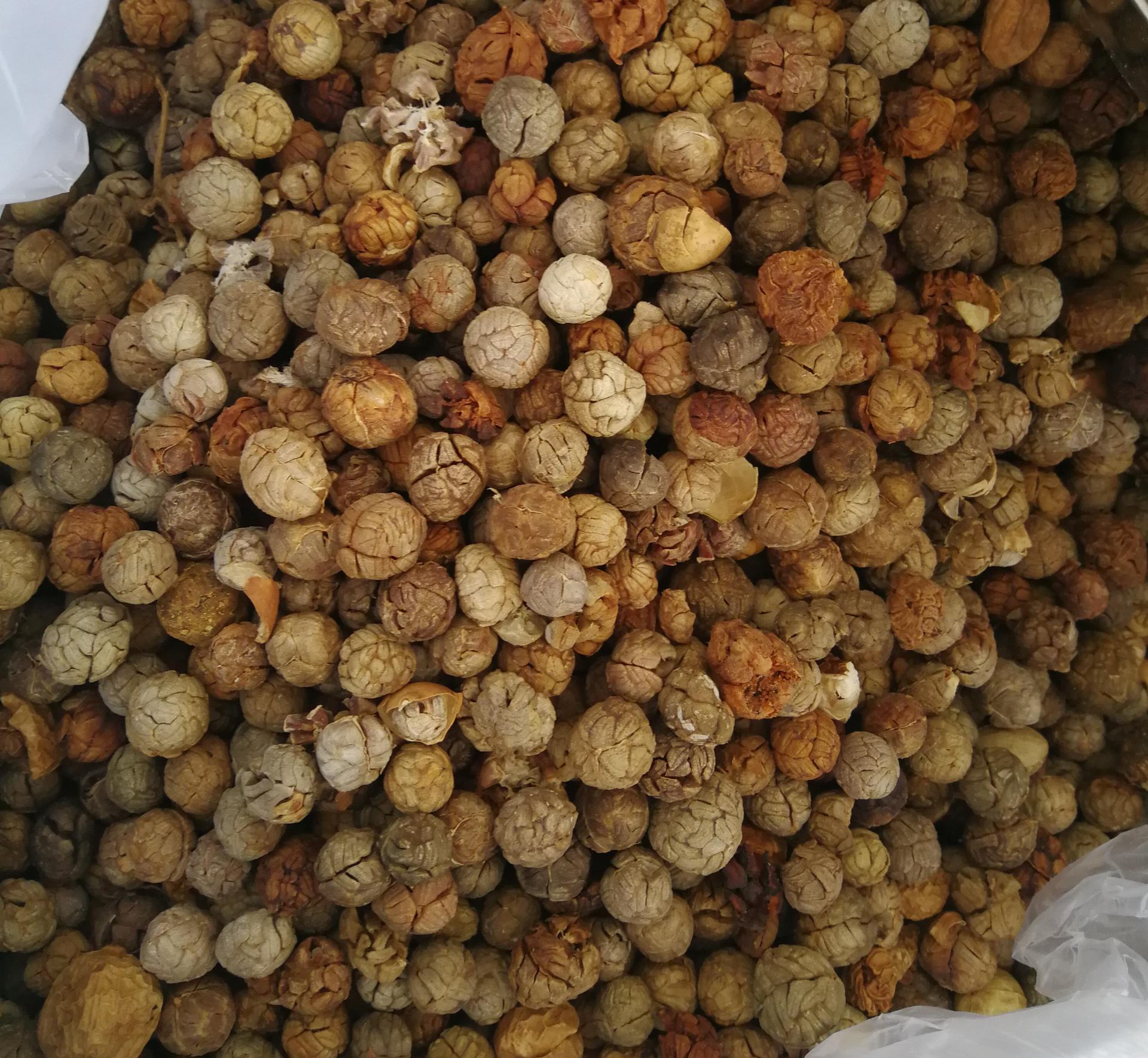 小草蔻 草豆蔻 草蔻 草寇仁 草扣 老豆蔻 另有中草蔻大草蔻