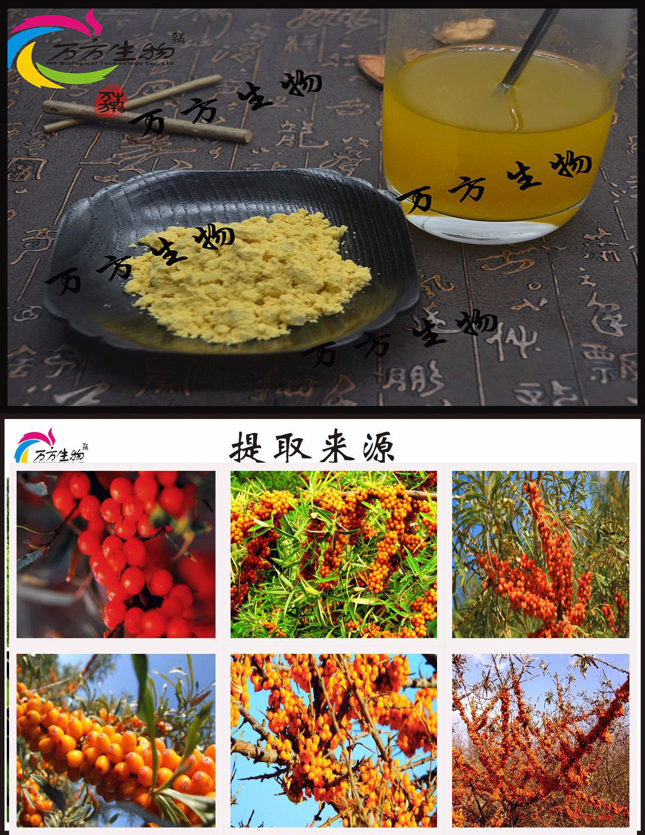 新疆沙棘果粉 天然沙棘果提取物 水溶沙棘萃取果汁粉 万方 1kg起