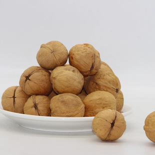 薄皮大核桃生核桃