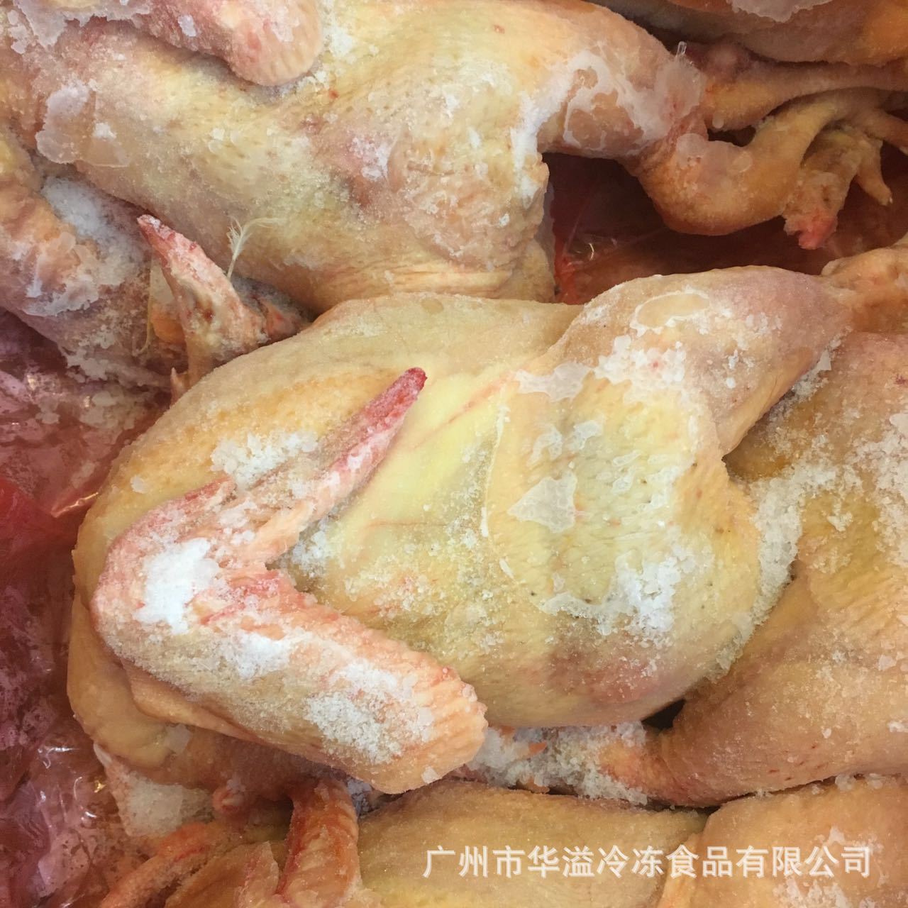 冻鸡 三黄鸡 春鸡 7只/20斤/箱 广州批发速冻三黄鸡 冰鲜春鸡