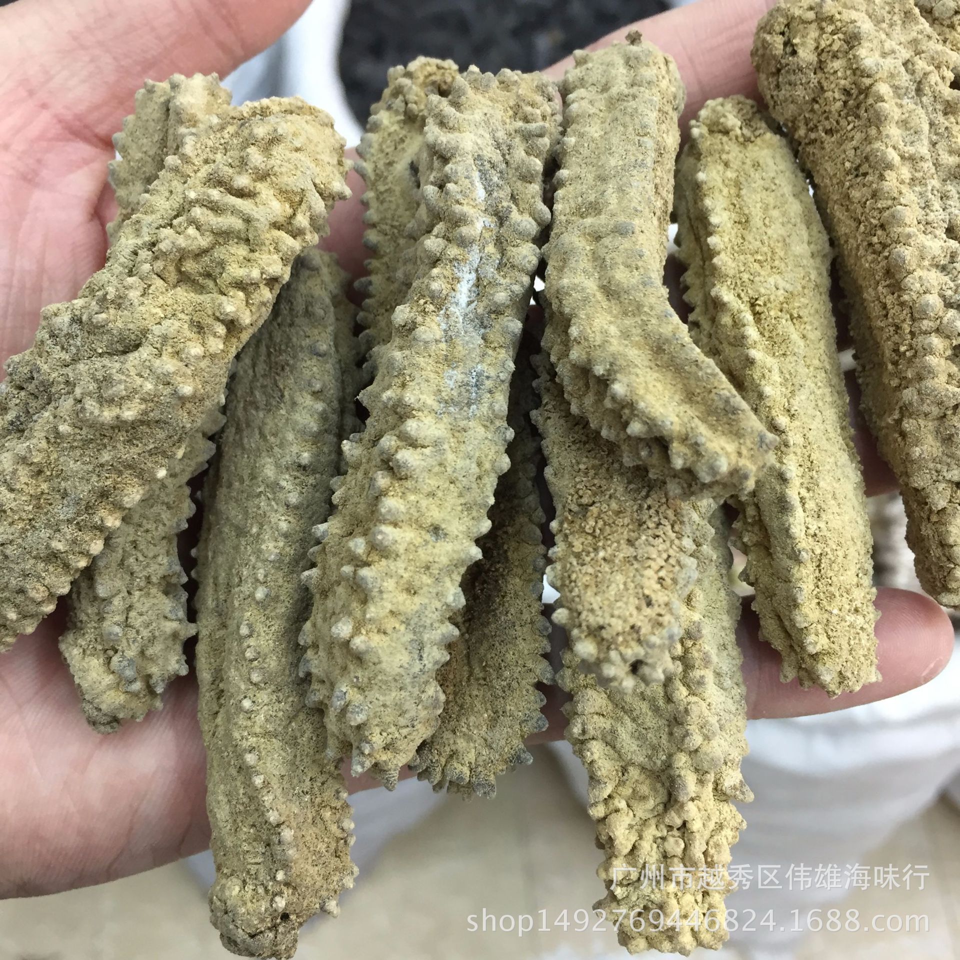 方刺参 产地直销马尔代夫方刺参 水发专用 涨发好 野生海参干货