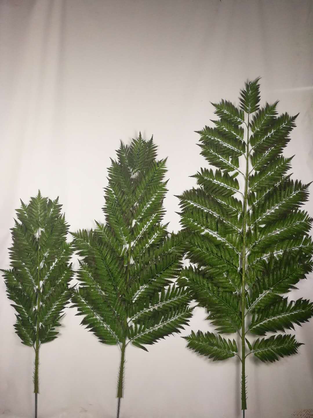 仿真单支大小号桫椤叶 大型桫椤树叶子厥类仿真植物室内外绿植