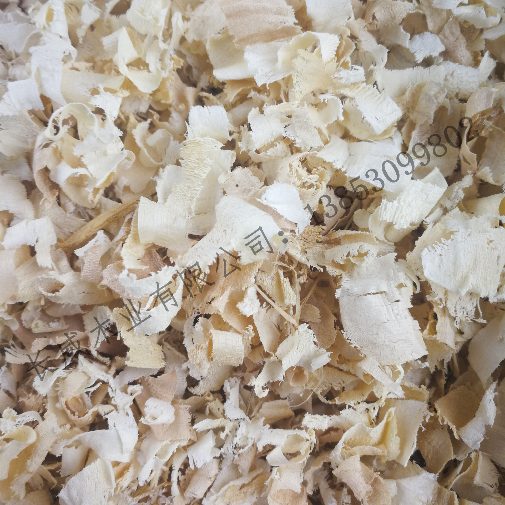 白杨木宠物垫料实验室木质木屑防湿散装刨花批发
