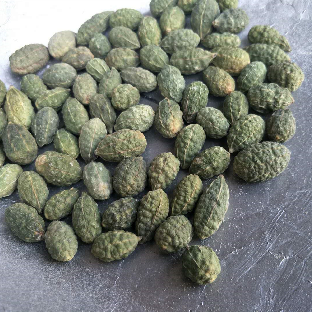 无硫新货 中药材 野西瓜 老鼠瓜 勾刺槌果藤 抗旱草 支持药检