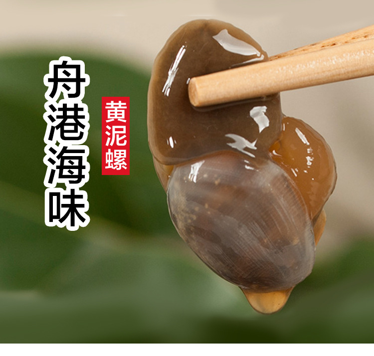 舟港海味420g黄泥螺即食新鲜个大爽脆罐装泥螺王舟山海鲜特产批发