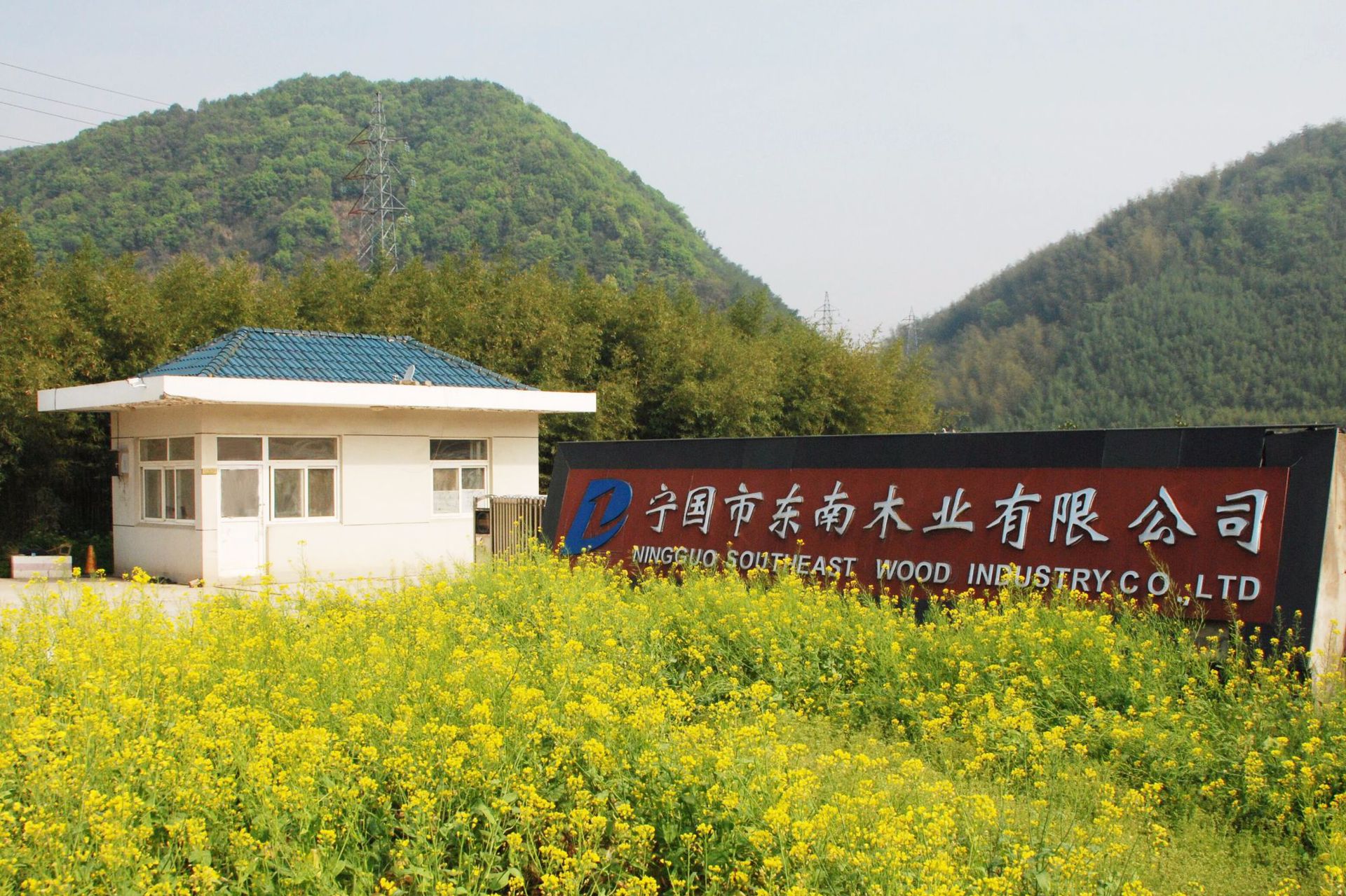 宁国市东南木业有限公司