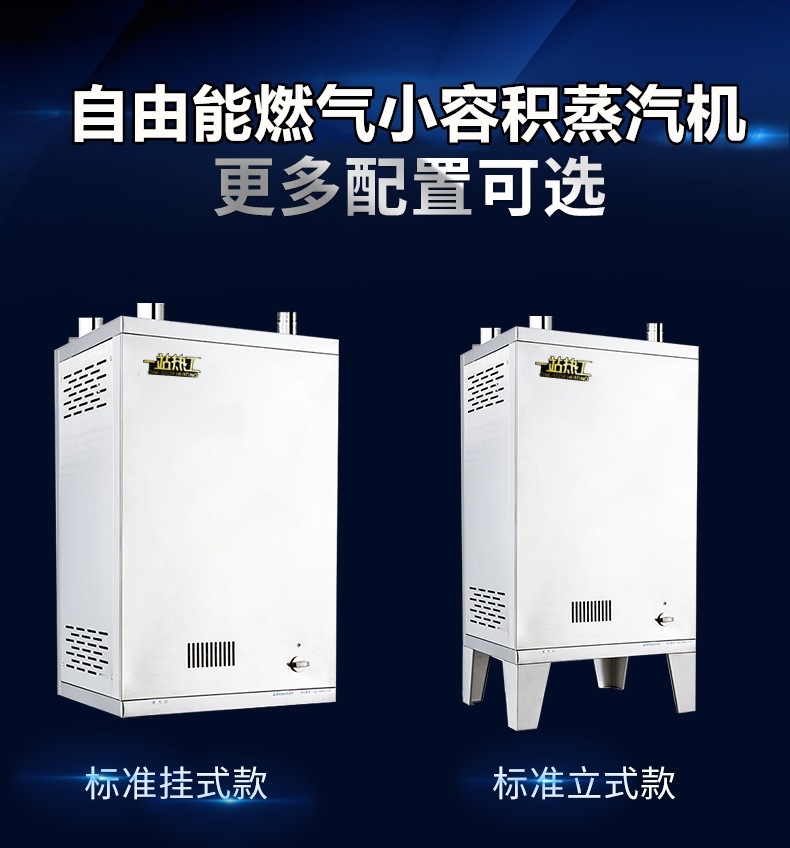 小型蒸汽锅炉天然气液化气蒸汽发生器低压立式服装工业蒸汽机