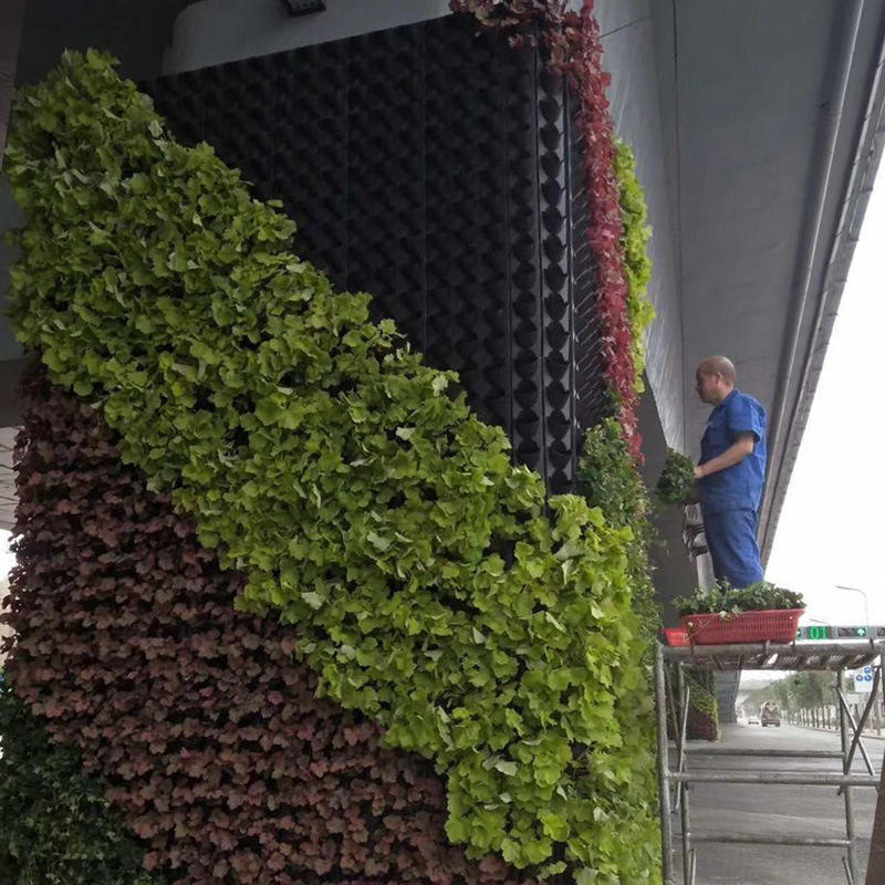 垂直绿化立体种植盒室内外塑料壁挂植物墙组合花盆自动灌溉3孔