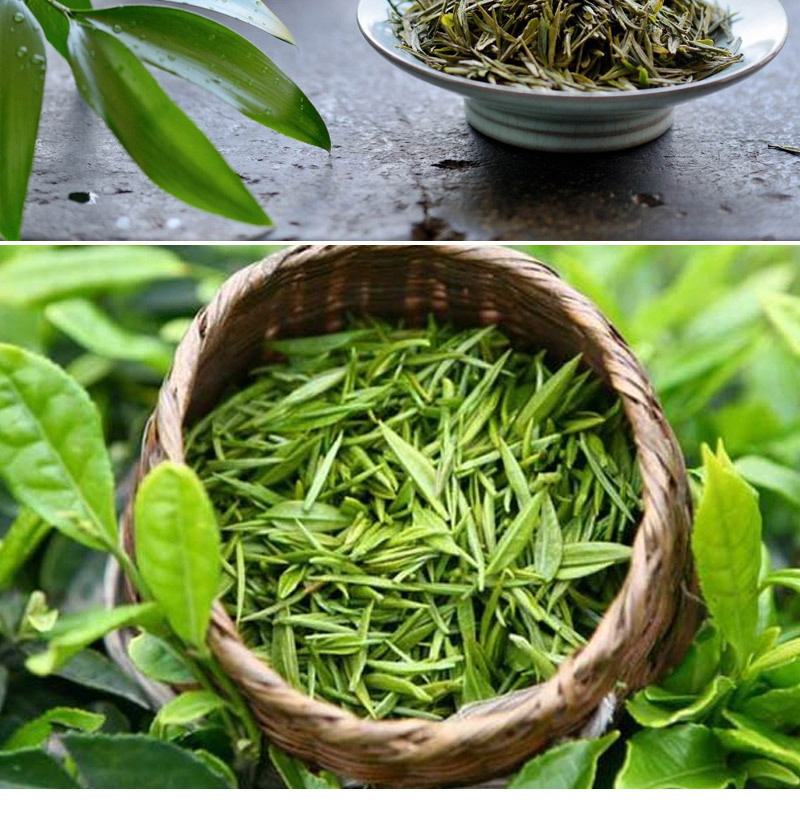 批发四川青城特产茶叶青城高山雪芽烘青绿茶60g*2听盒装绿茶