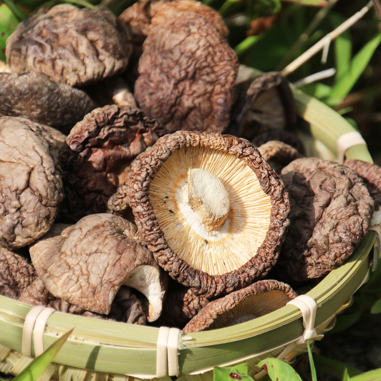 500g福建古田农家种植香菇干货无根香菇干蘑菇冬菇肉厚新货批发