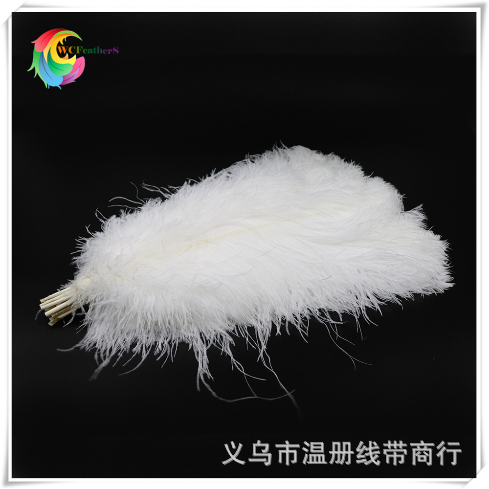 厂家直销大杆60-65cm鸵鸟毛 婚庆场地布置 舞台演出服装饰 白色