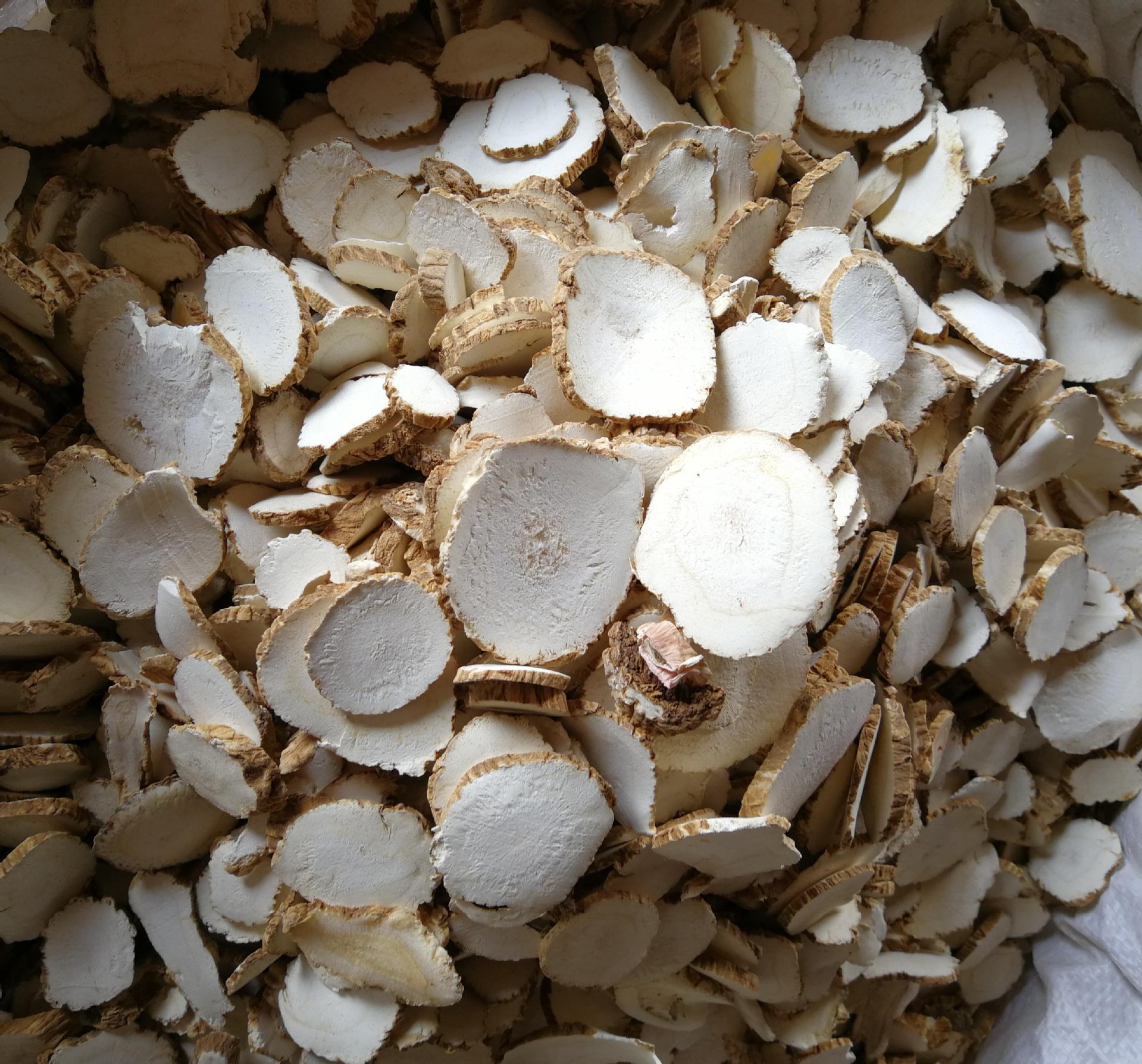 供应中药材白芷 白芷片 香味调料精选白芷整个片 量大从优白芷