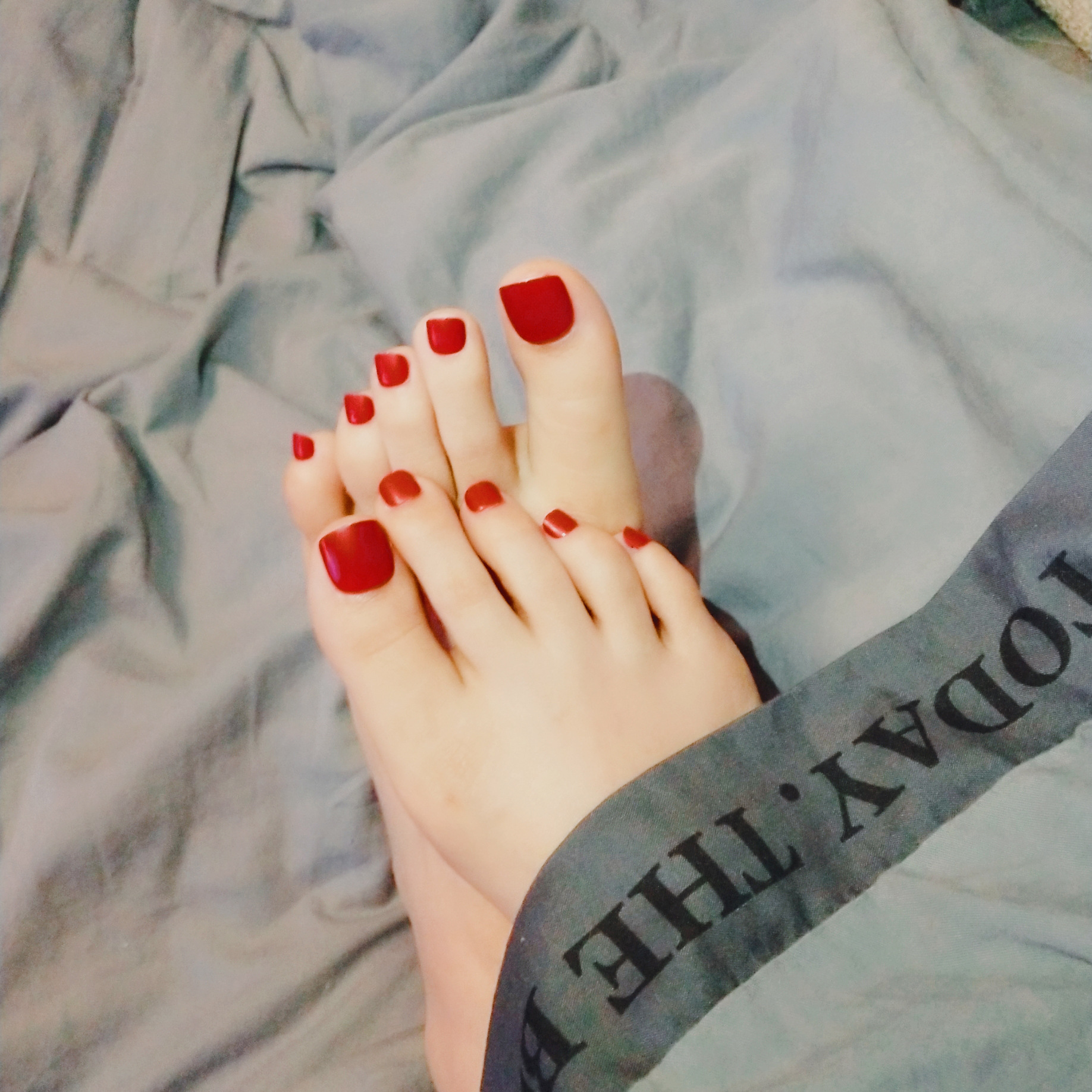 酒红纯色 脚趾美甲成品 假指甲贴片 24片送胶水j-143