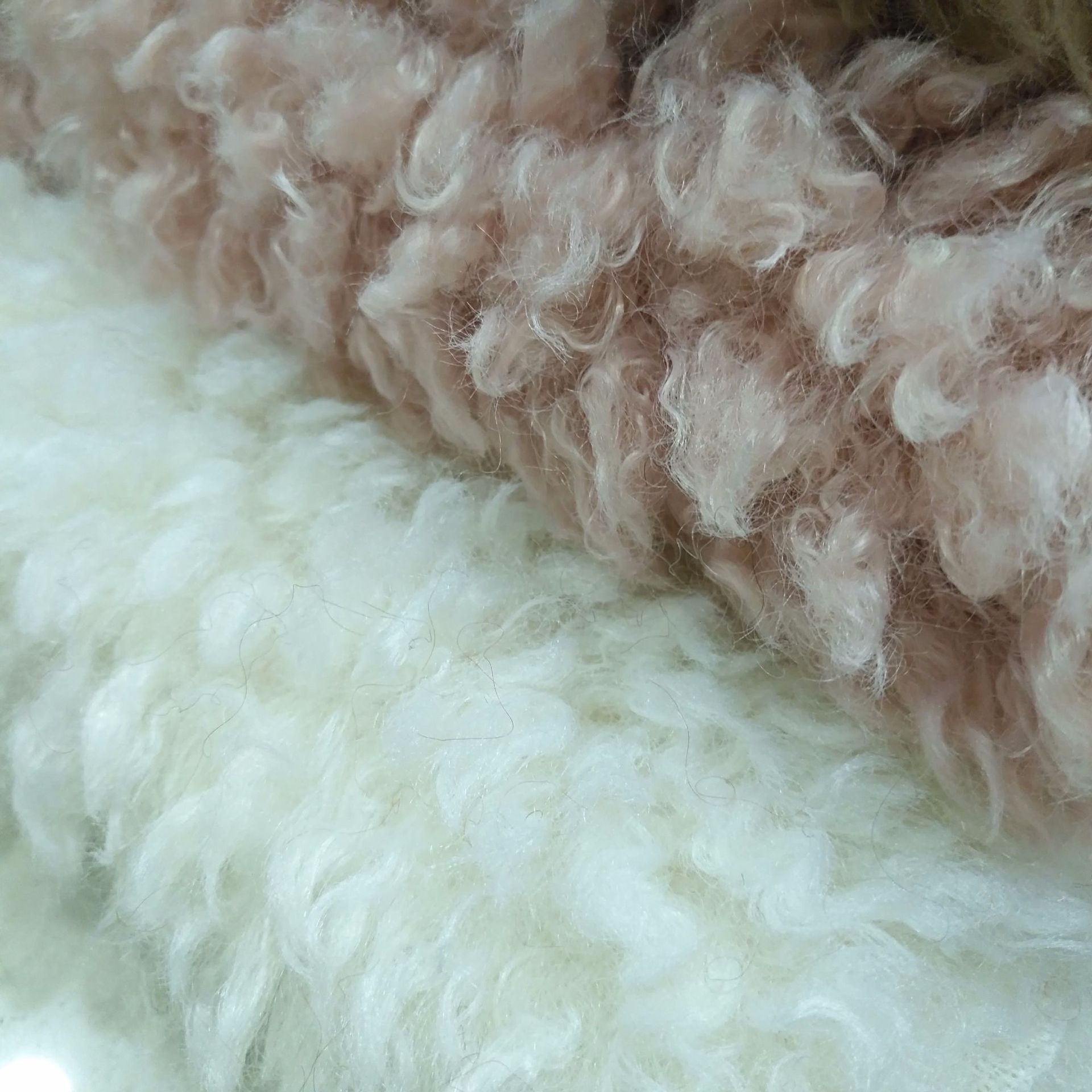 现货供应 新品羊卷绒 澳洲仿羊毛 30mm长毛绒布 服装玩具绒布面